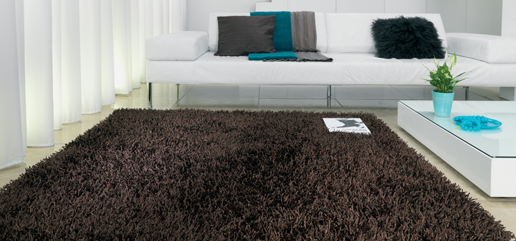 Buying guide for Brown Rugs