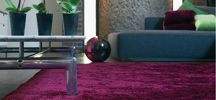 Points to remember before buying a Purple Rug