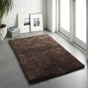 Chicago Chocolate Polyester Plain Rug by Origins