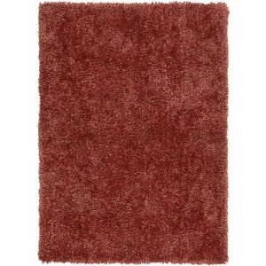 Spiral Coral Shaggy Rug by Asiatic